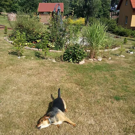 Gajowka